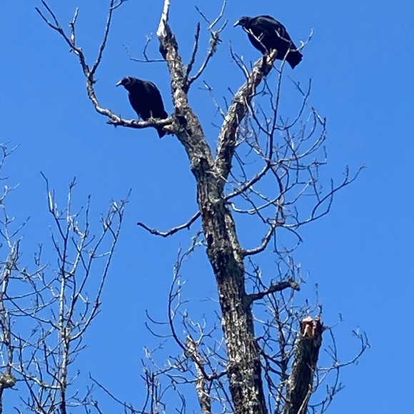 Meet your Posher, Paul - Picture 11 of 12